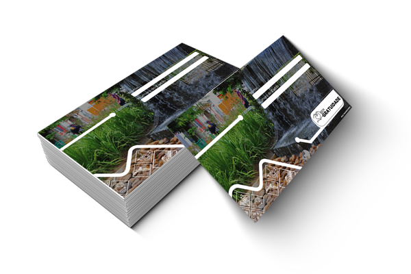 Cartão Bem Gratuidade